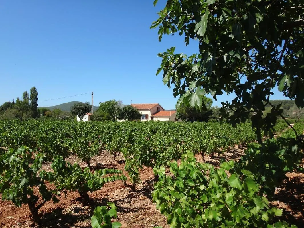 La Campagne Villa Cuers