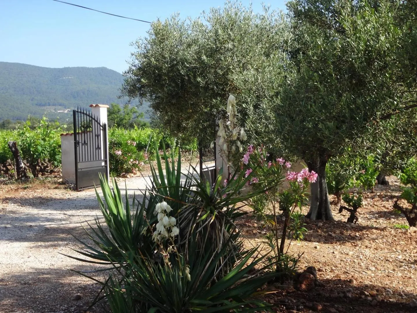 La Campagne Villa Cuers Holiday home